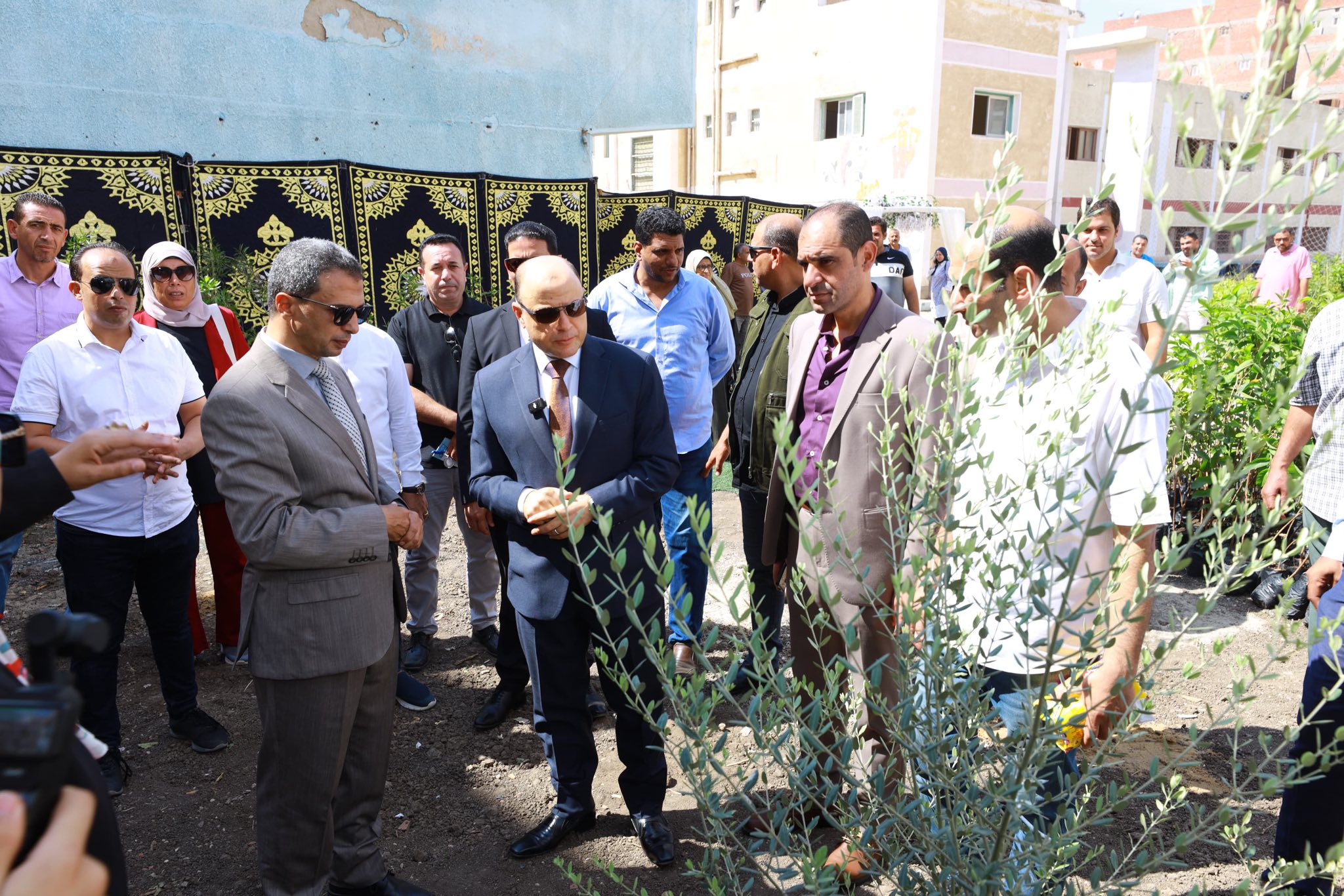 جانب من زراعة الأشجار جانب من زراعة الأشجار
