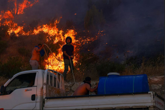 حرائق الغابات (9)