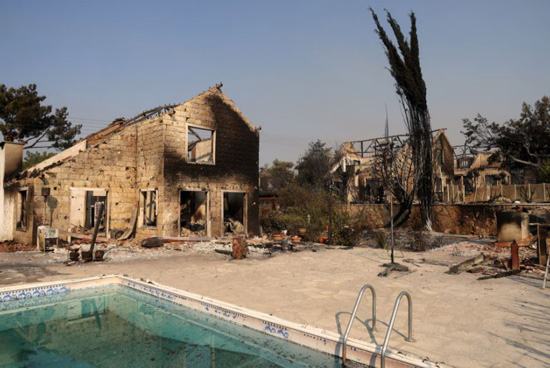 حرائق الغابات (3)