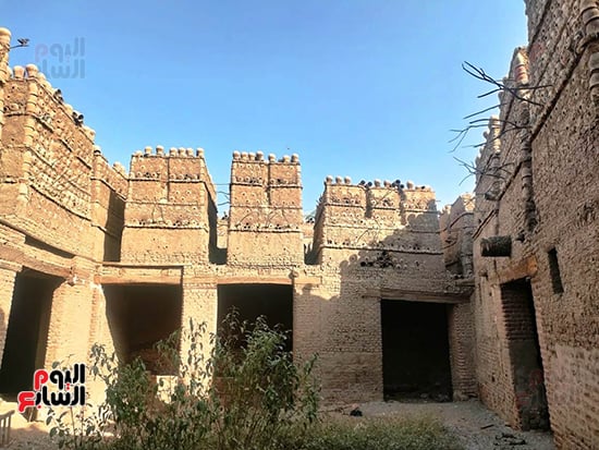 تربية-الحمام-في-قنا تربية-الحمام-في-قنا