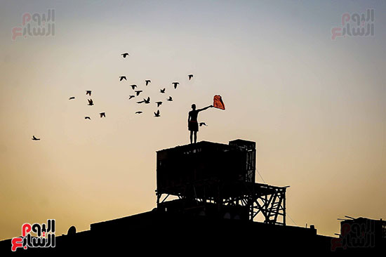 اليوم العالمى للتصوير (7)