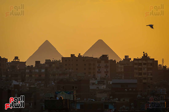 اليوم العالمى للتصوير (8)