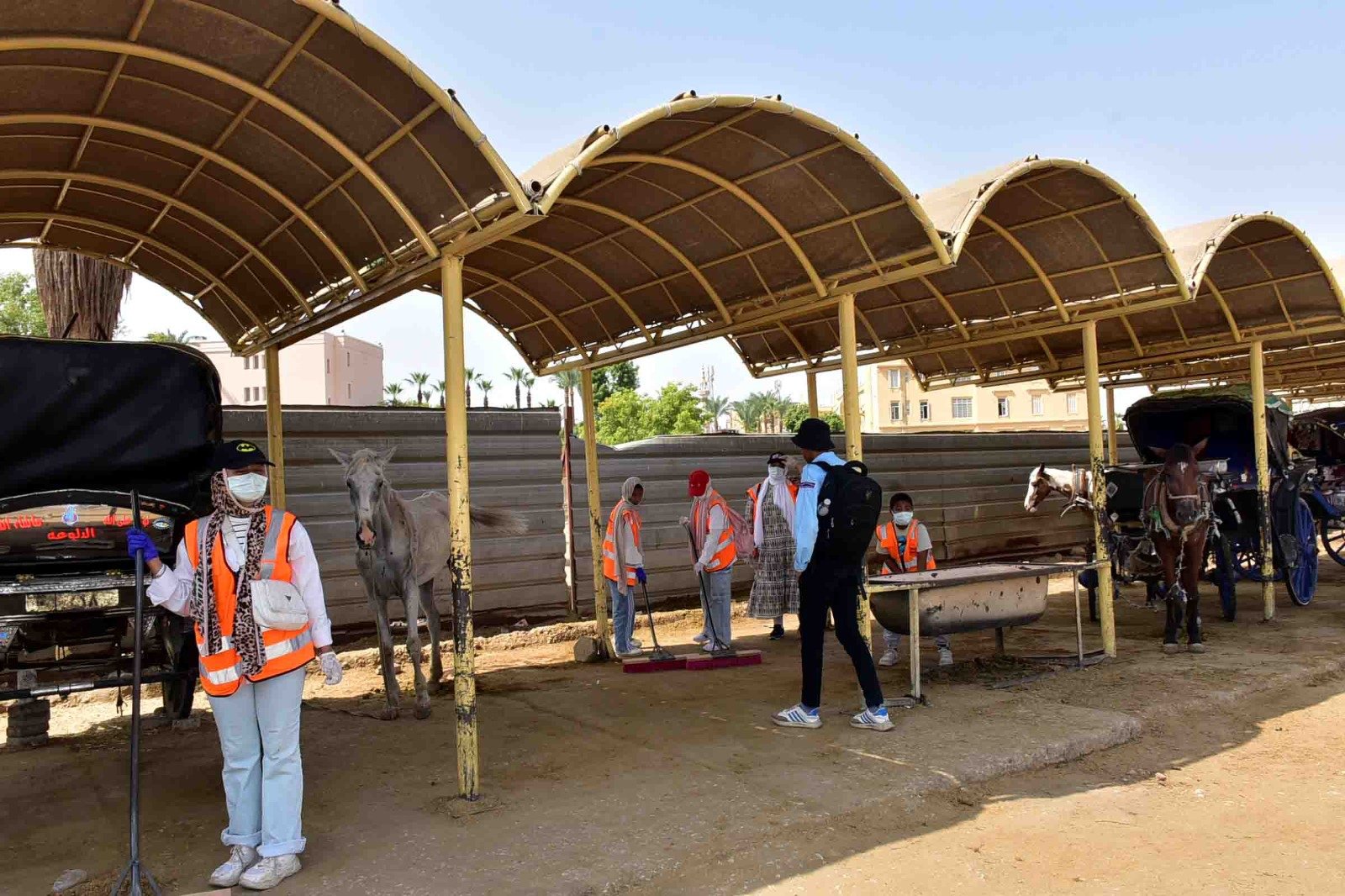 الأقصر تطلق حملة يوم في حب مصر