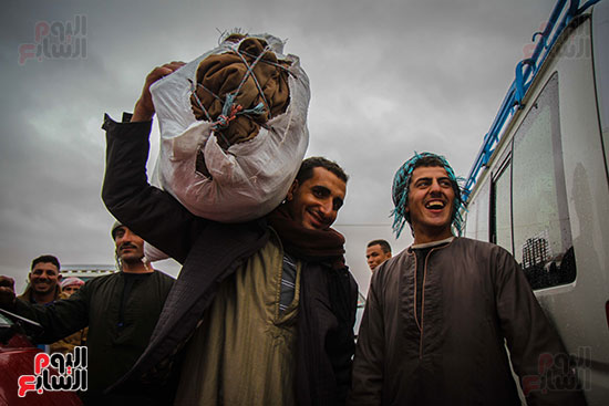 اليوم العالمى للتصوير (3)