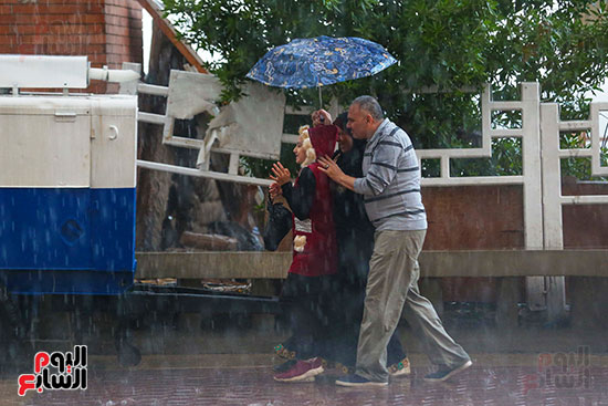 اليوم العالمى للتصوير (26)