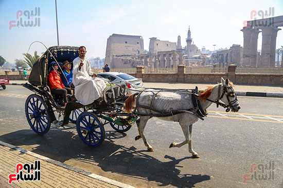 اليوم العالمى للتصوير (1)