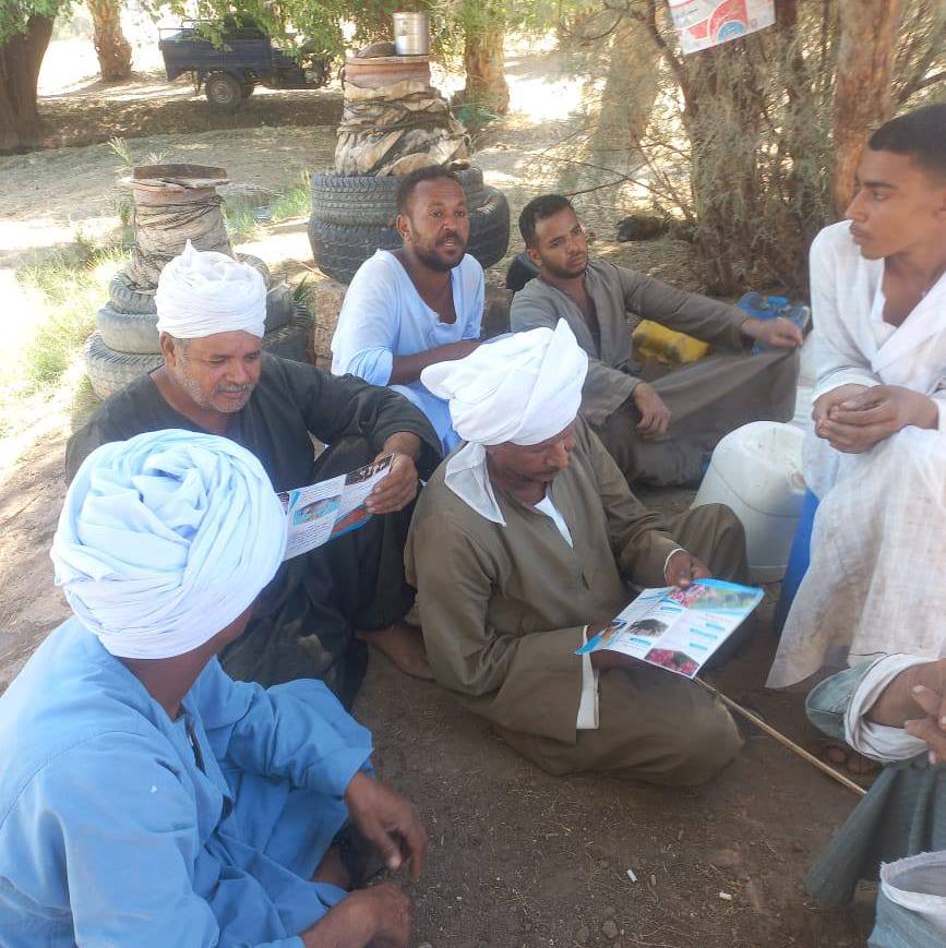 توعية بأهمية المشاركة في الحملة القومية لتحصين الماشية ضد الحمى القلاعية