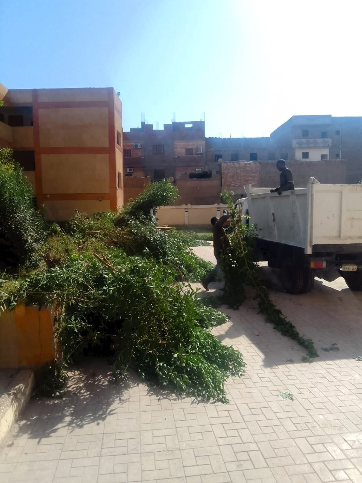 حملات حول المدارس قبل إجراء إنتخابات مجلس الشيوخ بالأقصر