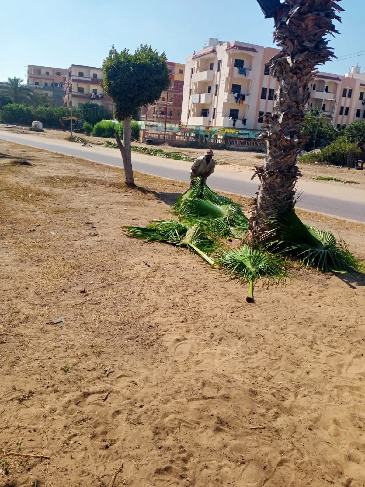 تطوير شامل للمدينة تطوير شامل للمدينة