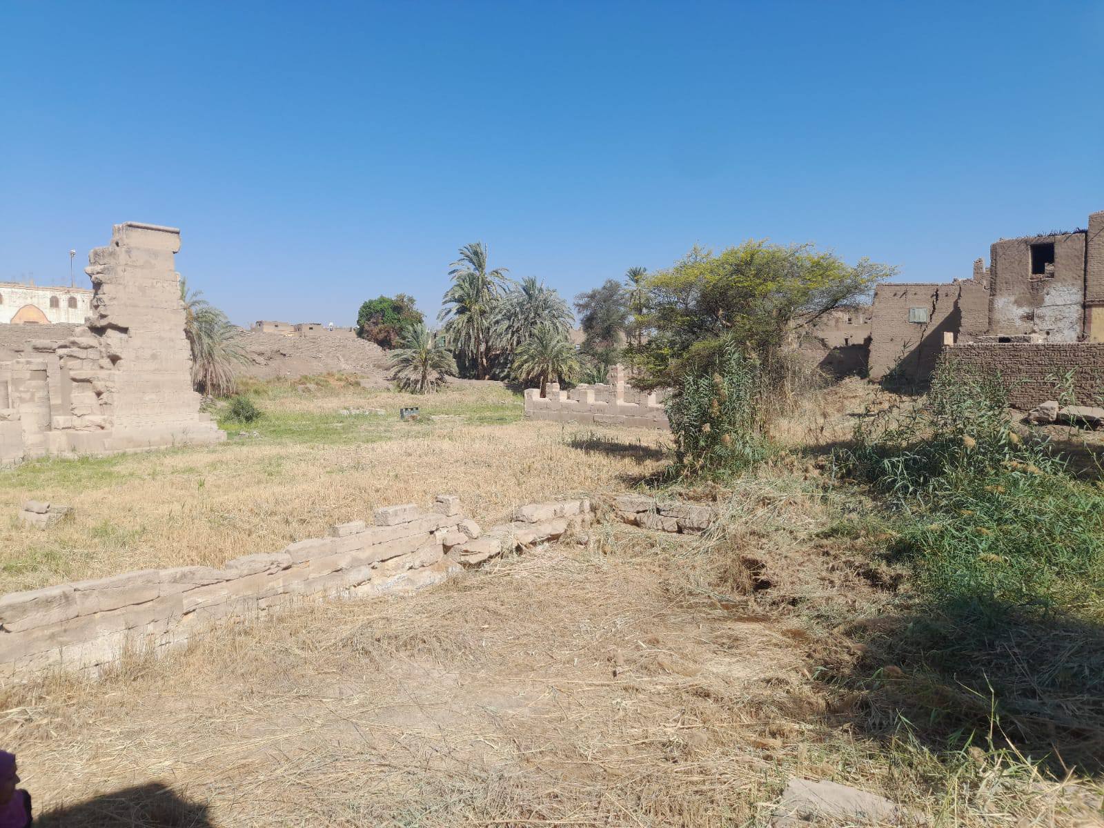 إزالة الحشائش والمخلفات لتنظيف منطقة معبد الطود شرق المحافظة