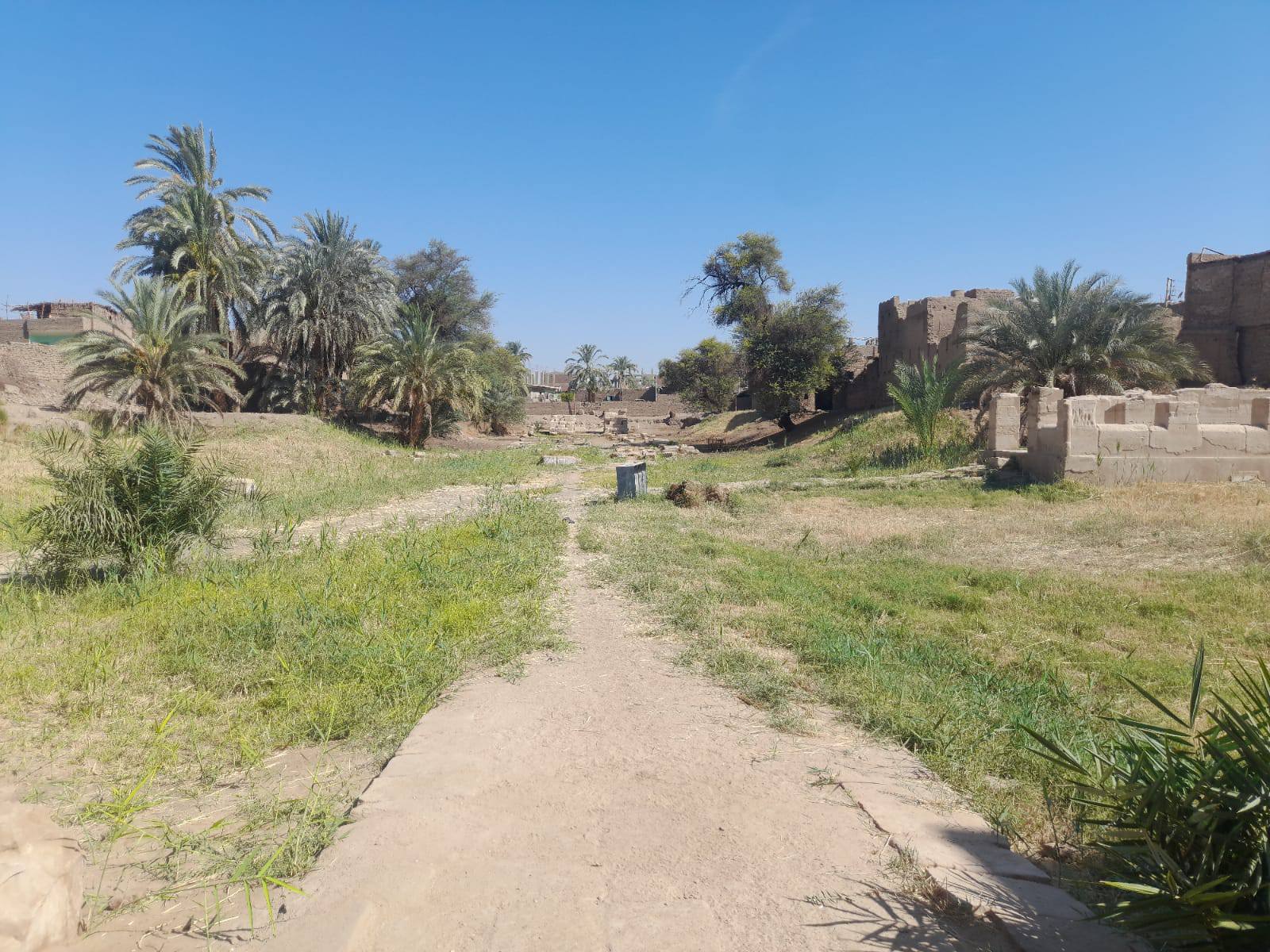 بدء حملات إزالة الحشائش والمخلفات لتنظيف منطقة معبد الطود