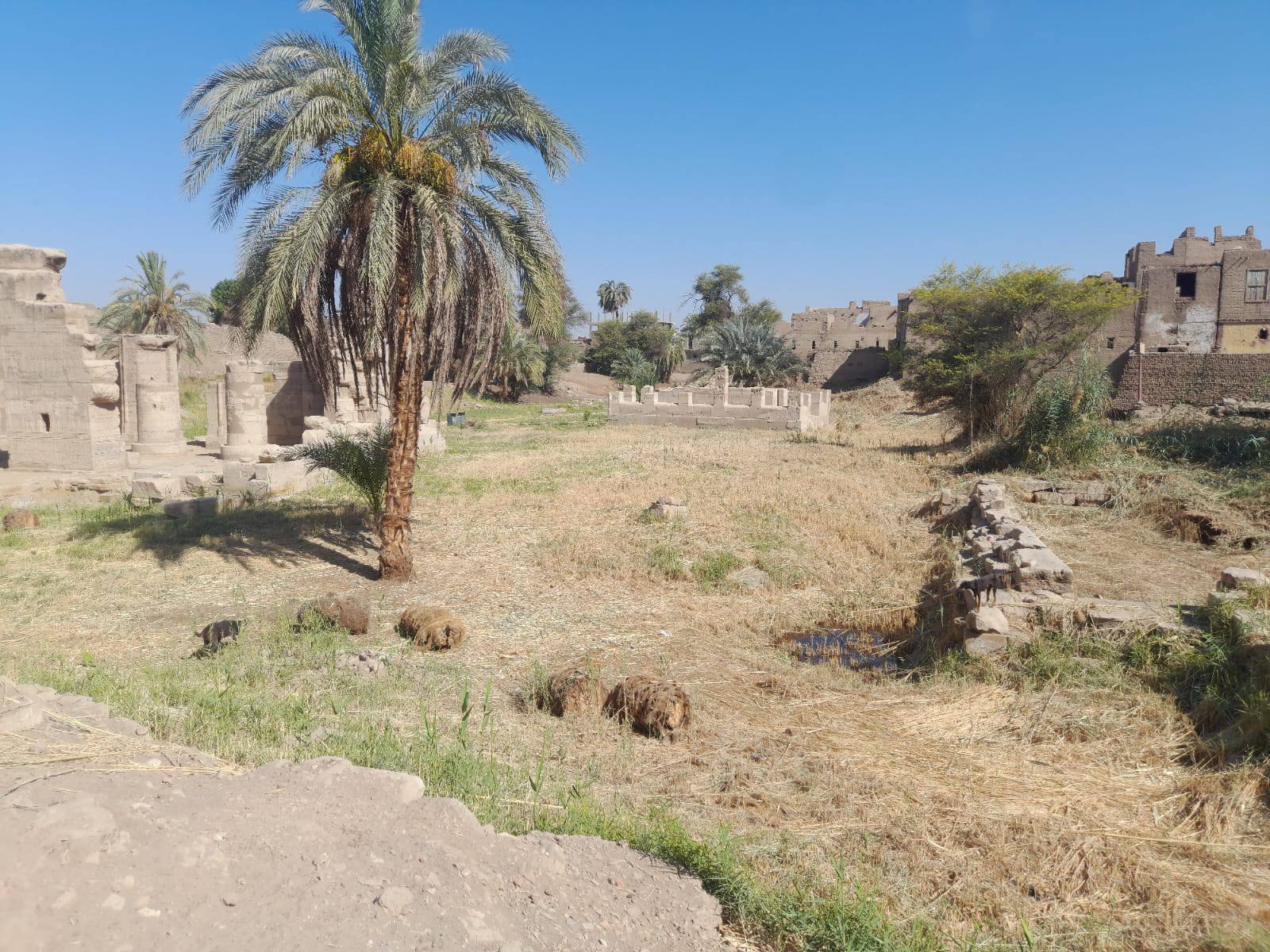 بدء إزالة الحشائش والمخلفات لتنظيف منطقة معبد الطود