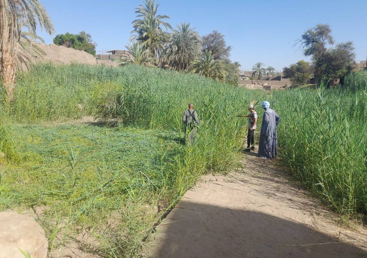 آثار الأقصر تزيل الحشائش والمخلفات لتنظيف منطقة معبد الطود آثار الأقصر تزيل الحشائش والمخلفات لتنظيف منطقة معبد الطود
