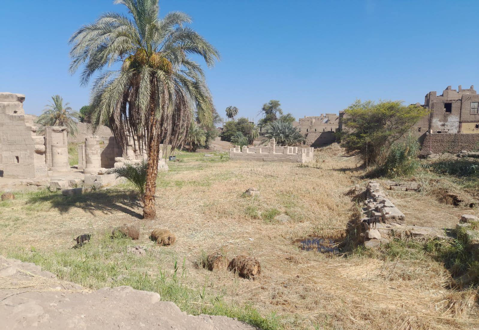 بدء إزالة الحشائش والمخلفات لتنظيف منطقة معبد الطود بدء إزالة الحشائش والمخلفات لتنظيف منطقة معبد الطود