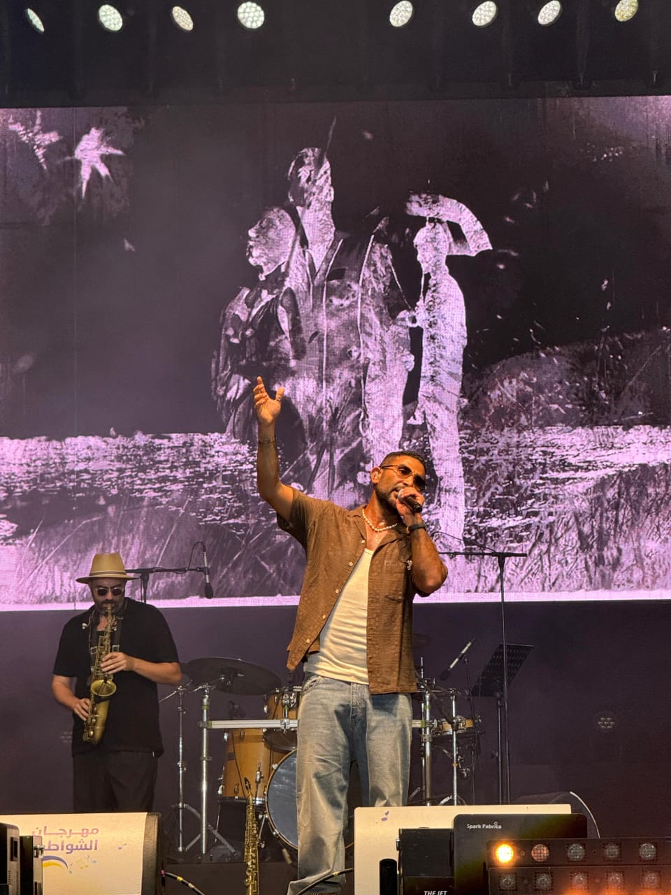 حفل أحمد سعد