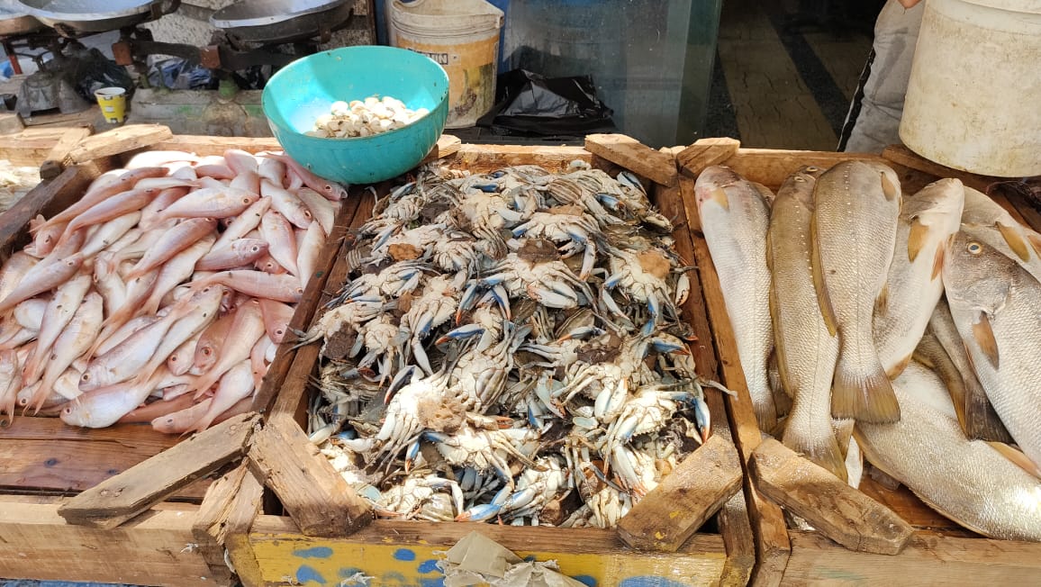 طاولة السمك طاولة السمك