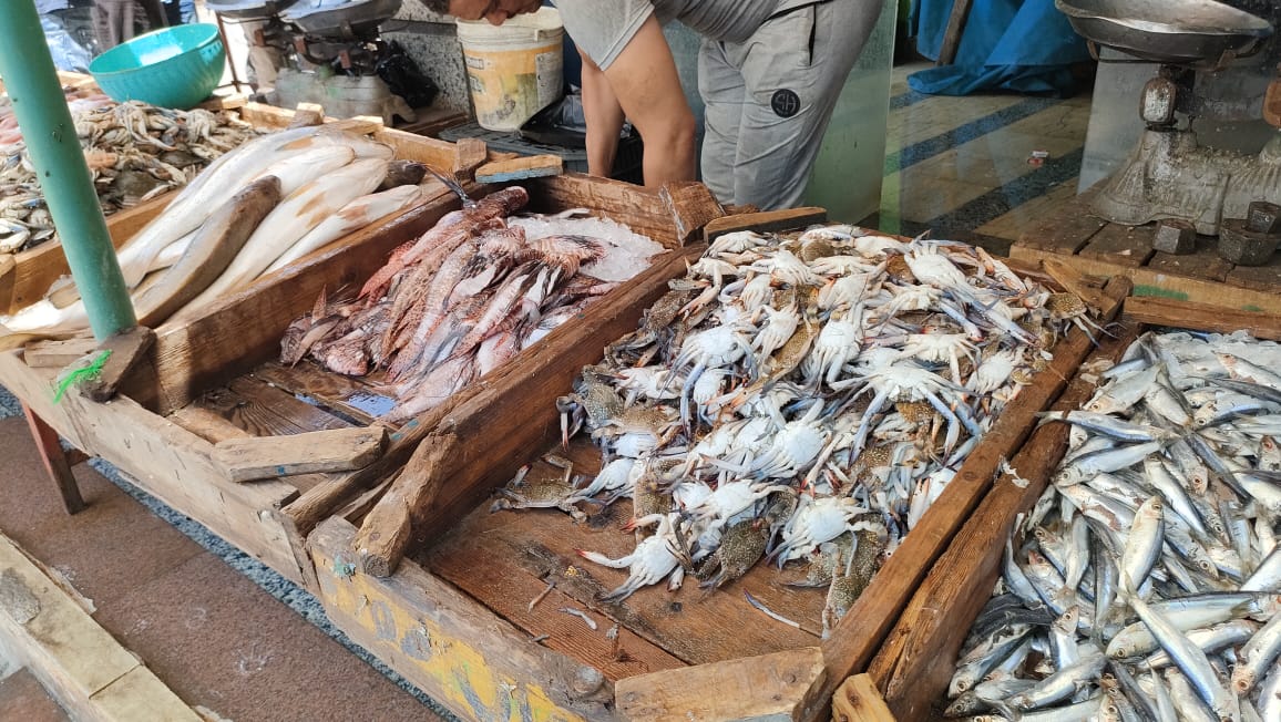 حلقة السمك بالعجيزي حلقة السمك بالعجيزي