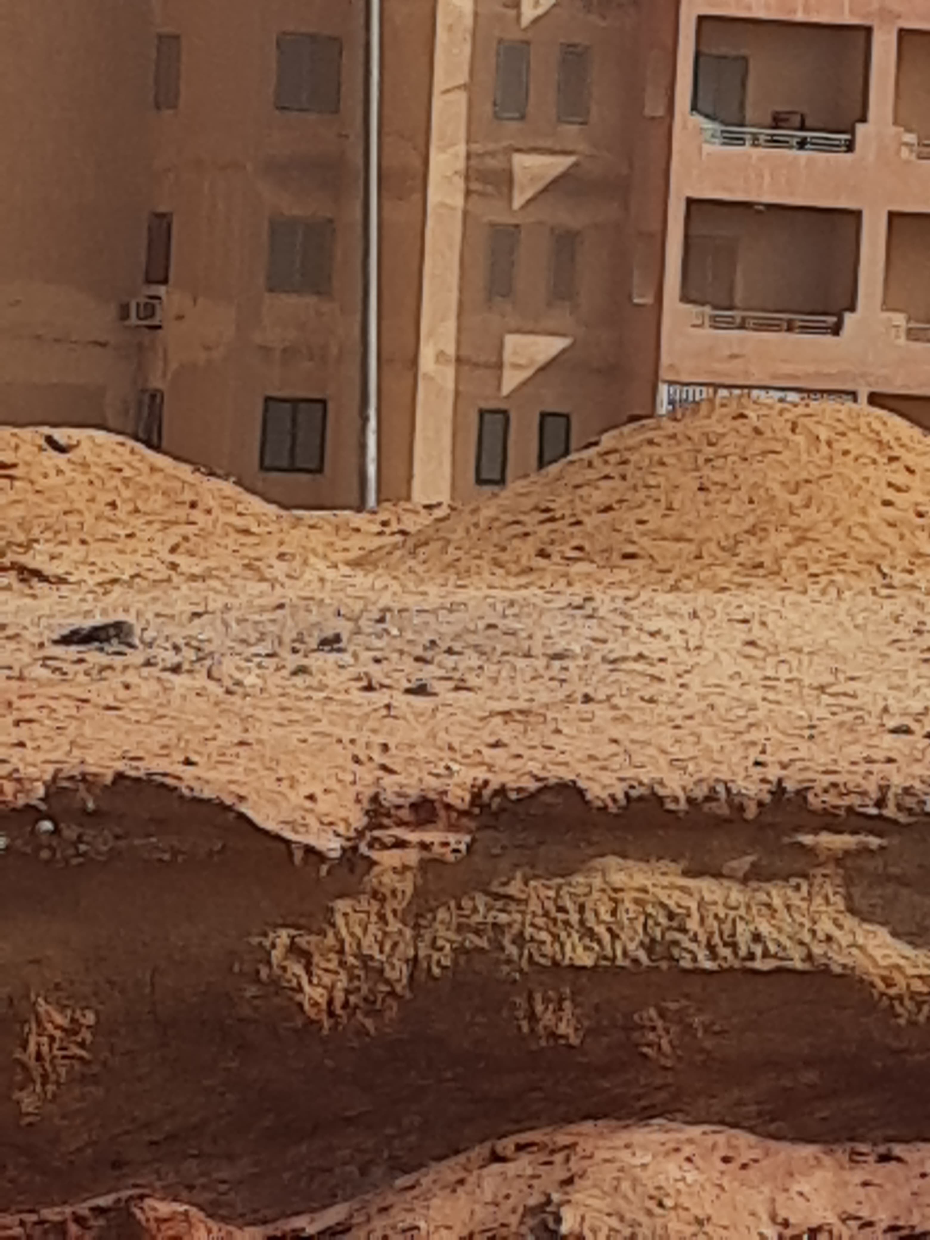 تشوهات بالحوائط