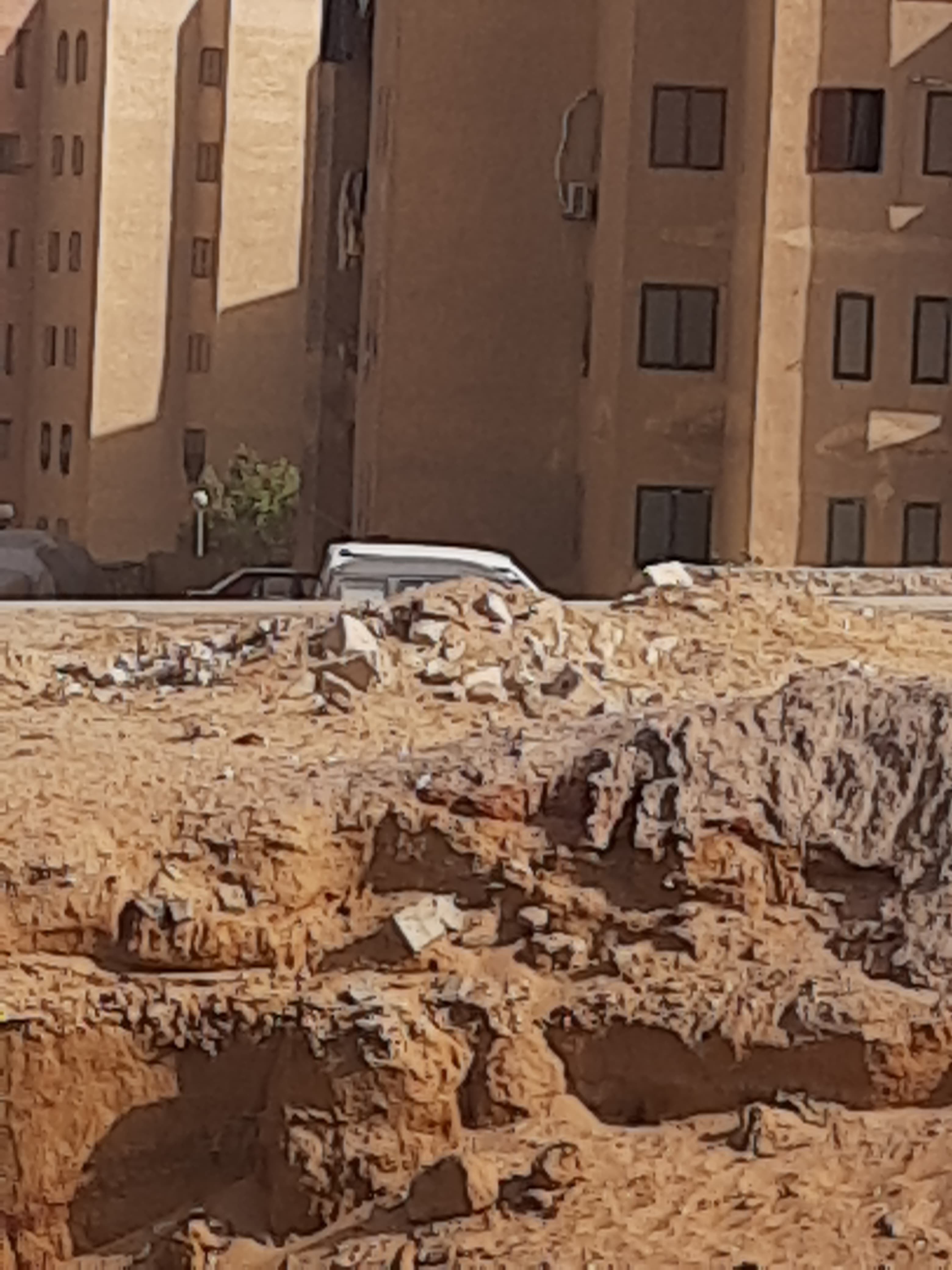 نقص التشجير  (2)