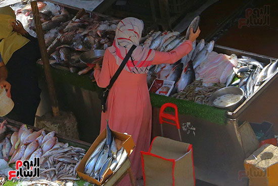 سوق  السمك (4)