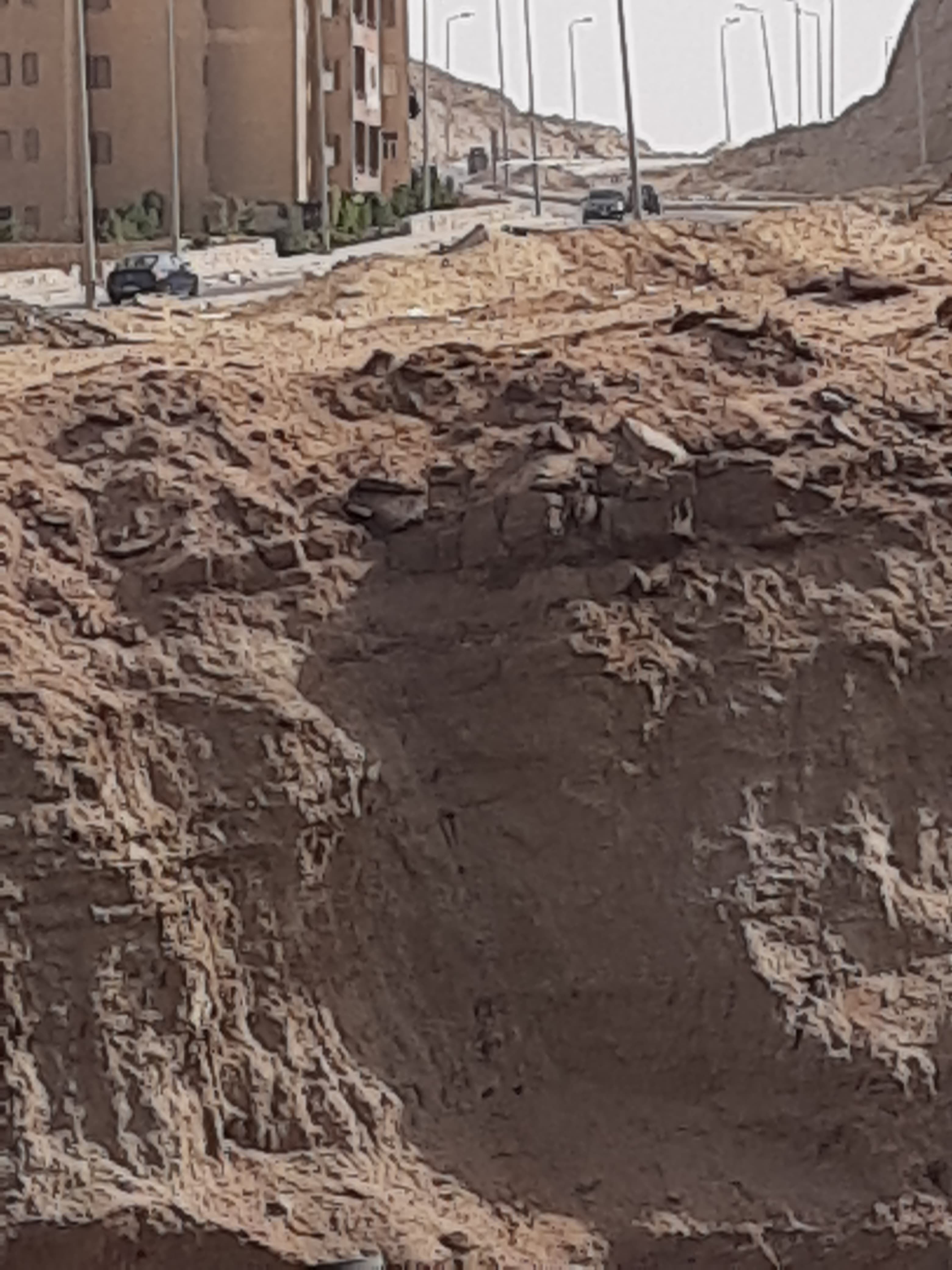 نقص التشجير  (4)