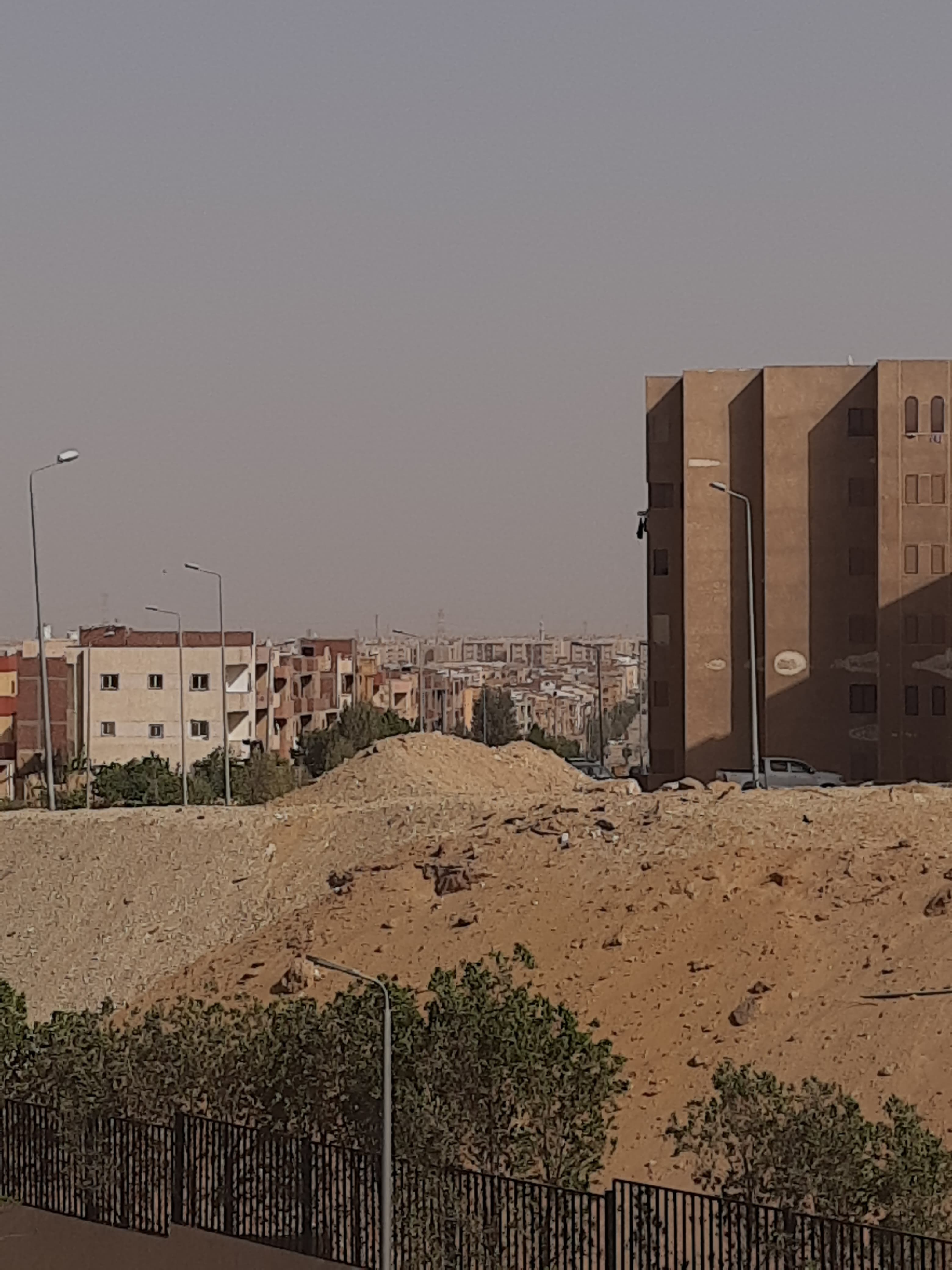 نقص التشجير  (3)