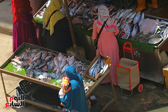 سوق  السمك (6)