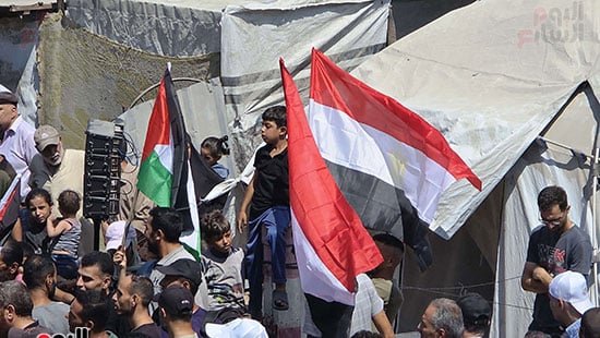 رفع-علم-مصر-خلال-مظاهرات-تطالب-بوقف-الحرب