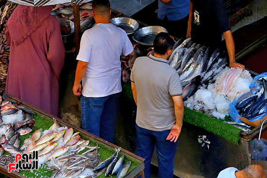 سوق  السمك (10)
