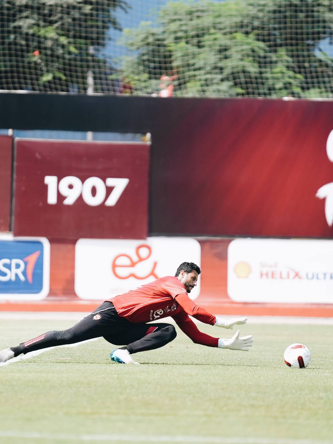 الشناوى يحاول التأقلم الشناوى يحاول التأقلم