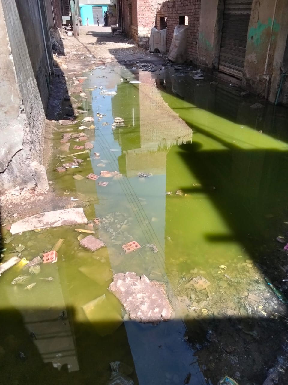 المياه الجوفية تغمر شوارع قرية العطف (3)