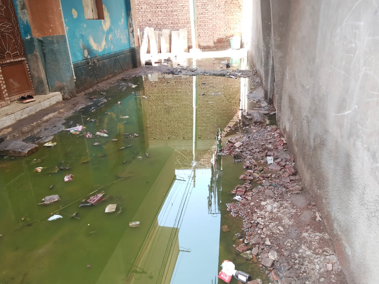 المياه الجوفية تغمر شوارع قرية العطف (10)