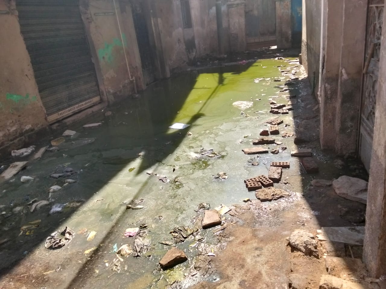 المياه الجوفية تغمر شوارع قرية العطف (9)