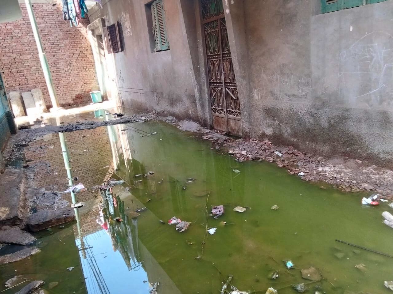 المياه الجوفية تغمر شوارع قرية العطف (1)