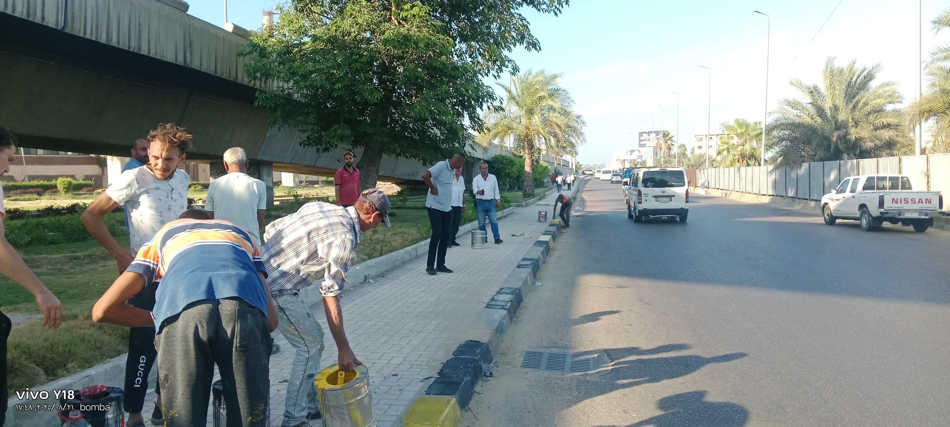 طلاء مدخل الإسكندرية الصحراوي طلاء مدخل الإسكندرية الصحراوي