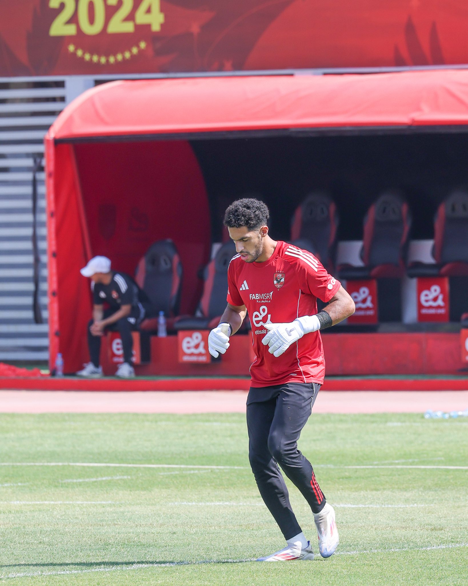 مصطفى شوبير