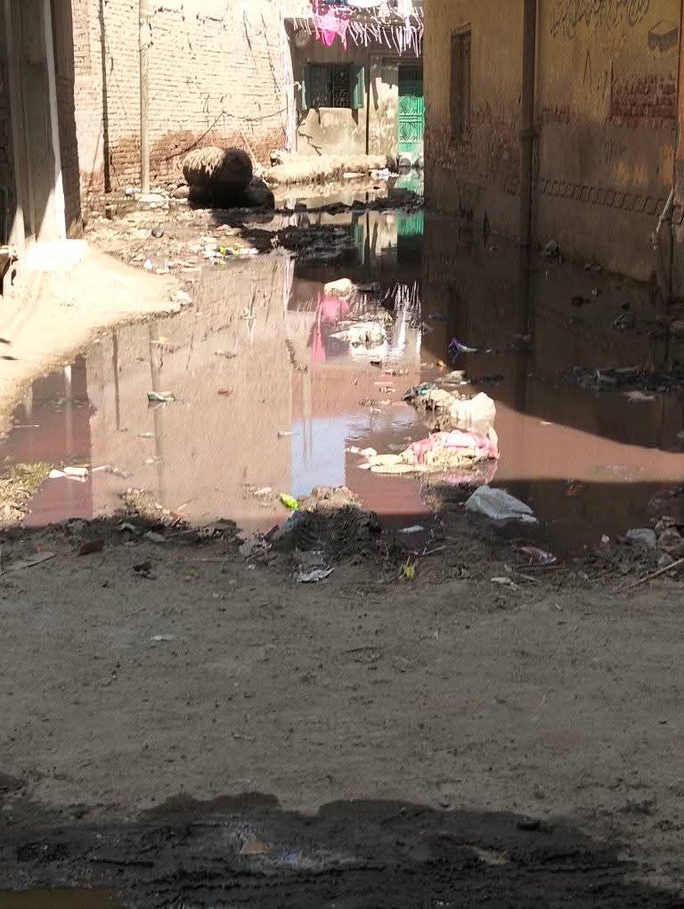 المياه الجوفية تغمر شوارع قرية العطف (5)