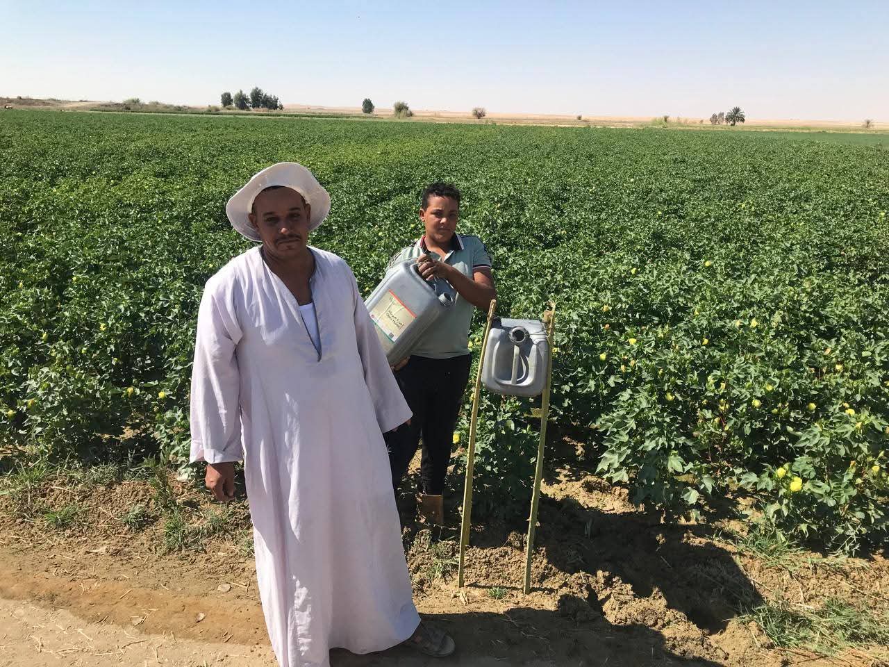 المزارعون المزارعون