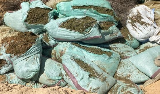 المضبوطات (1)