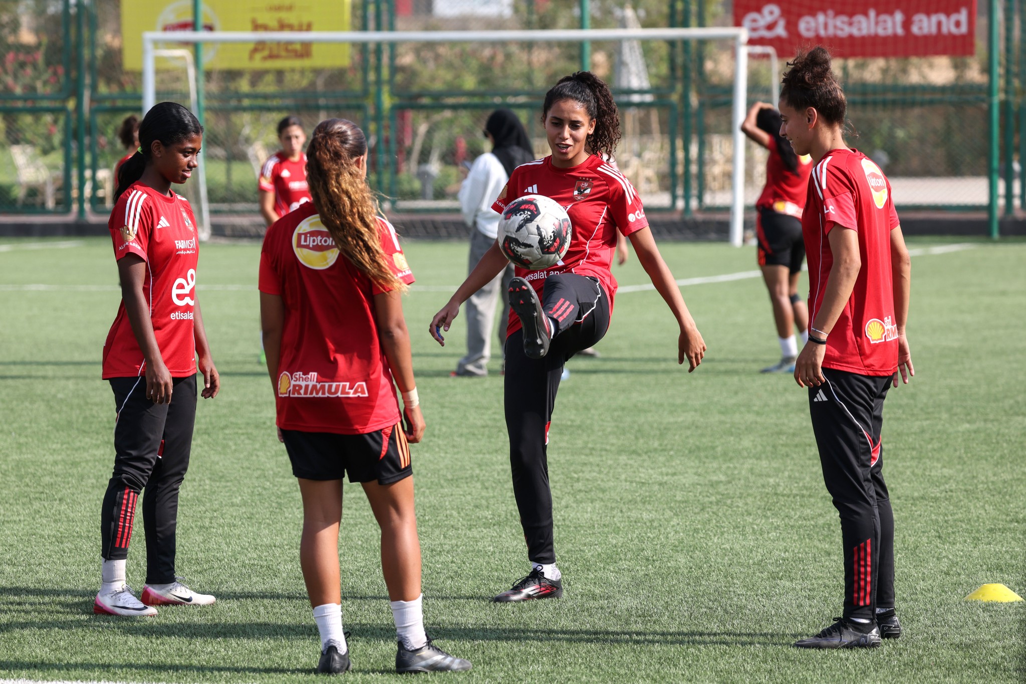 تدريب الاهلي تدريب الاهلي