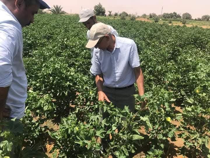 متابعة المحصول متابعة المحصول