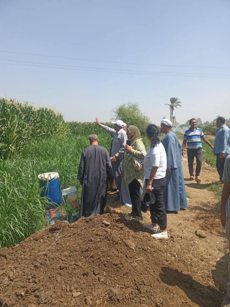 النهضة الزراعية في المنيا
