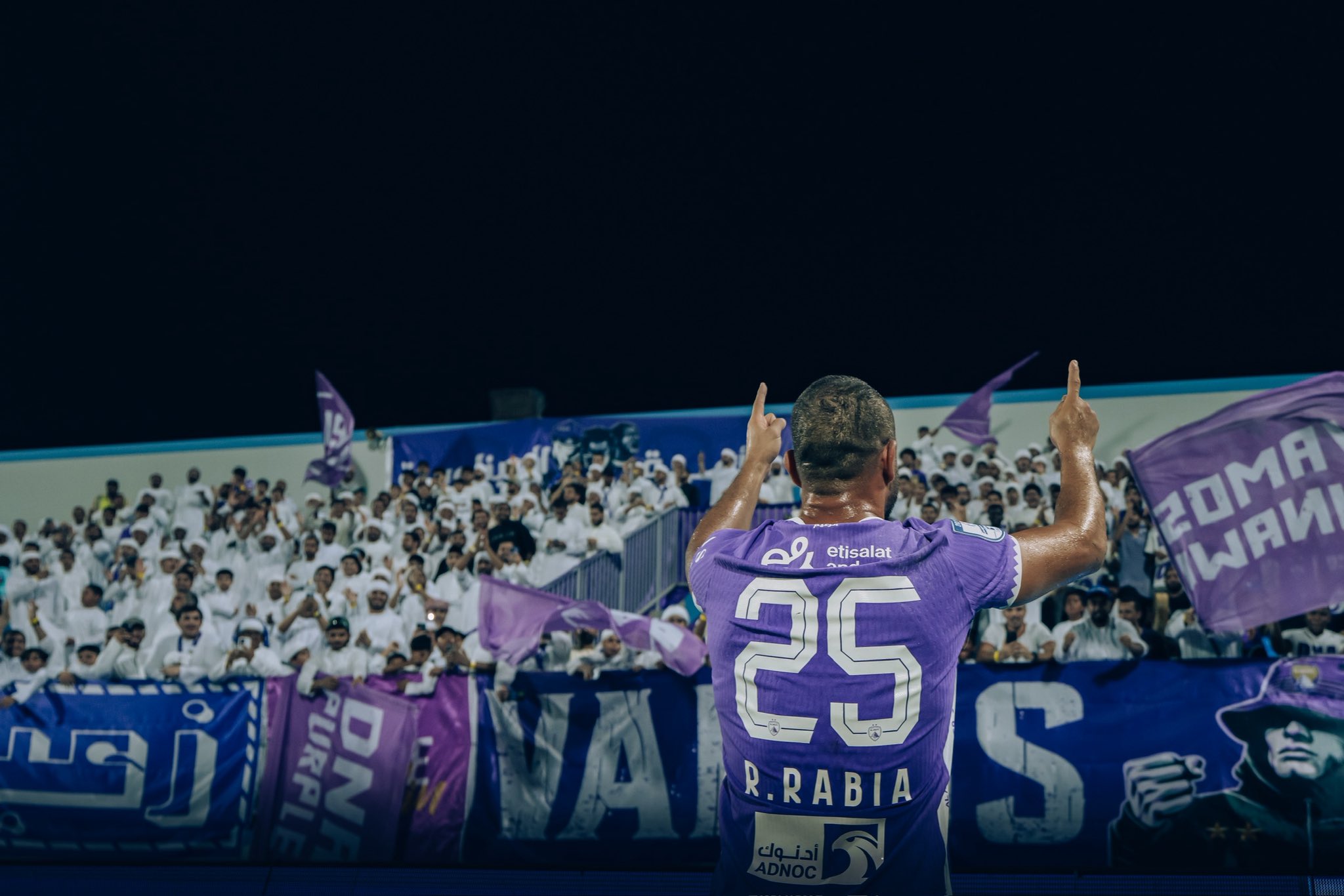 ربيعة