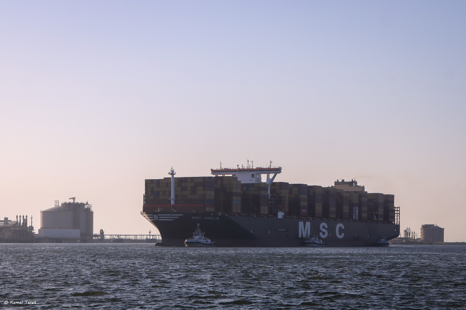 ميناء دمياط يستقبل سفينة الحاويات العملاقة MSC AMELIA (4)