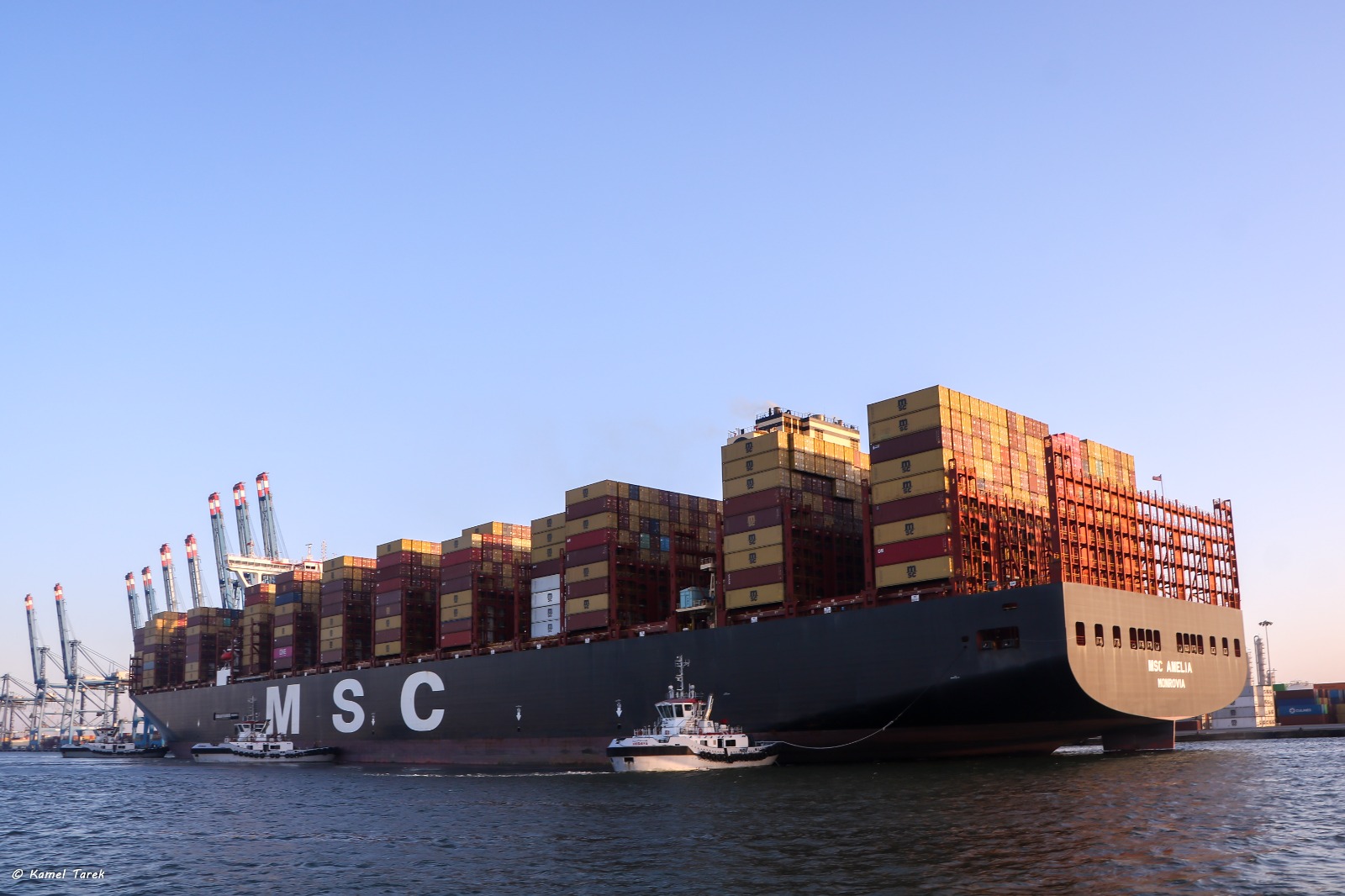 ميناء دمياط يستقبل سفينة الحاويات العملاقة MSC AMELIA (5)