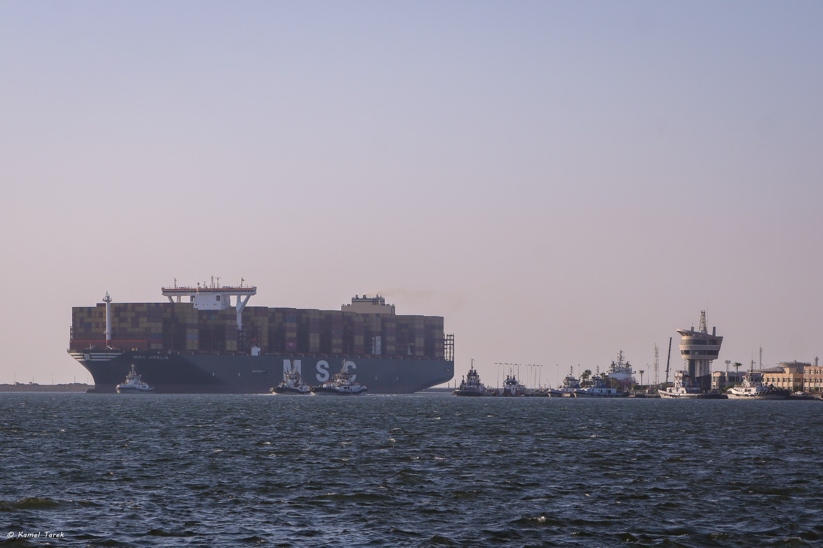 ميناء دمياط يستقبل سفينة الحاويات العملاقة MSC AMELIA (2)