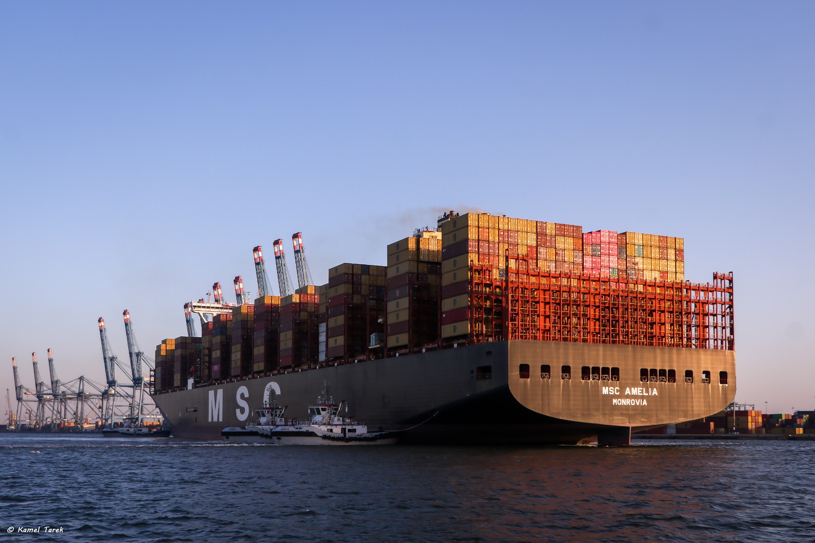 ميناء دمياط يستقبل سفينة الحاويات العملاقة MSC AMELIA (1)