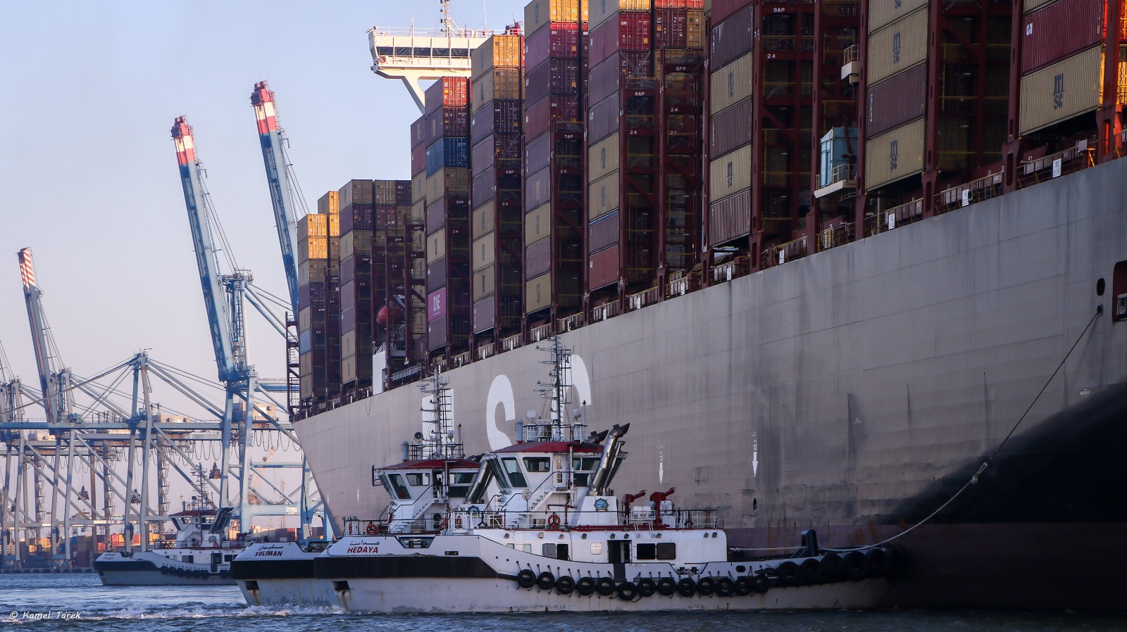 ميناء دمياط يستقبل سفينة الحاويات العملاقة MSC AMELIA (7)