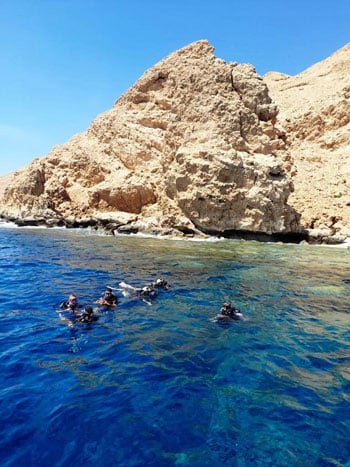 الغوص-في-البحر-الأحمر- الغوص-في-البحر-الأحمر-