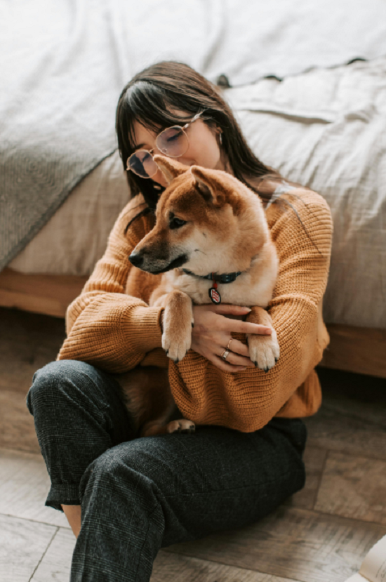 تربية حيوان أليف